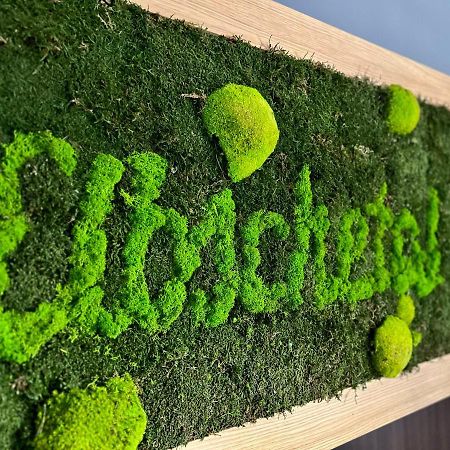 Hotel & Restaurant Elbschetal Веттер Экстерьер фото